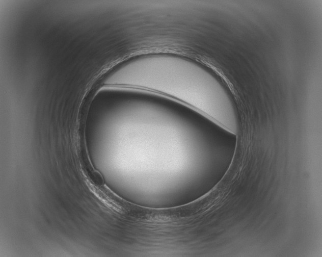 X0000084020677200702160827