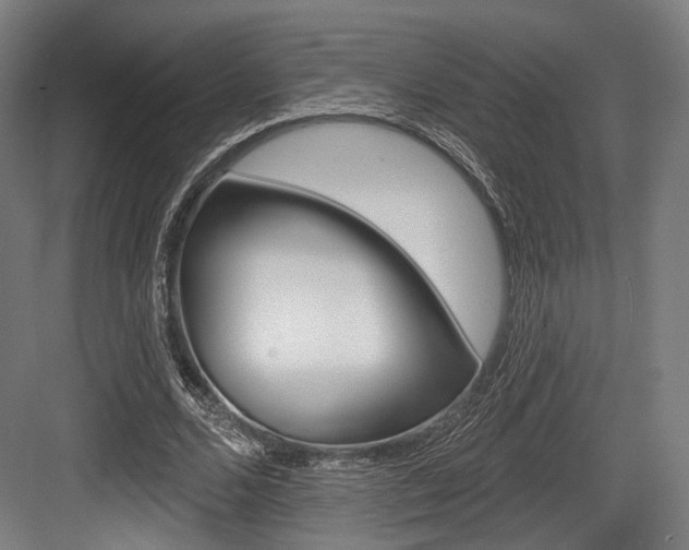 X0000084020680200702160827