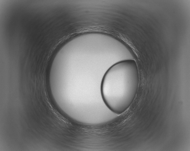 X0000084020681200702160827