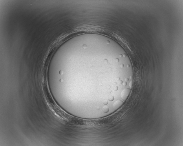 X0000084020682200702160827
