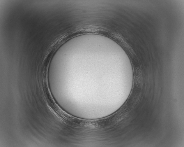X0000084020683200702160827