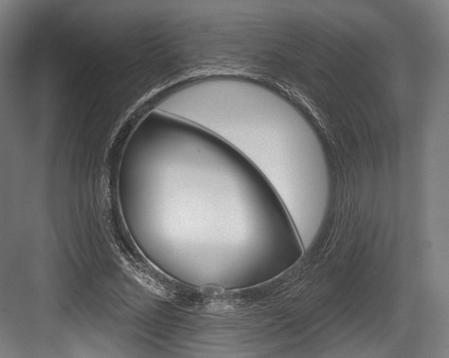 X0000084020684200702160827
