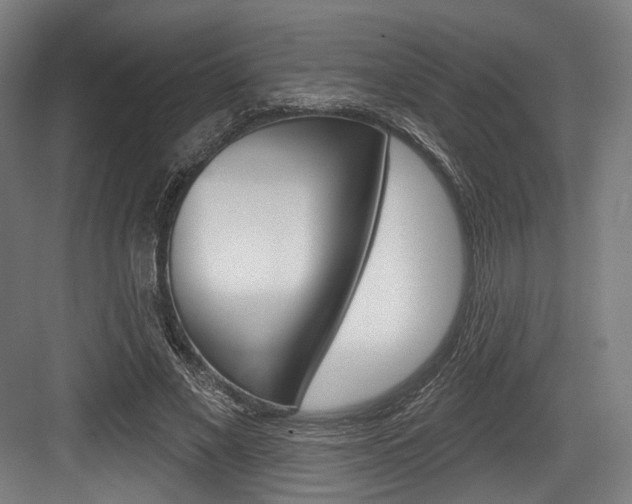 X0000084020685200702160827