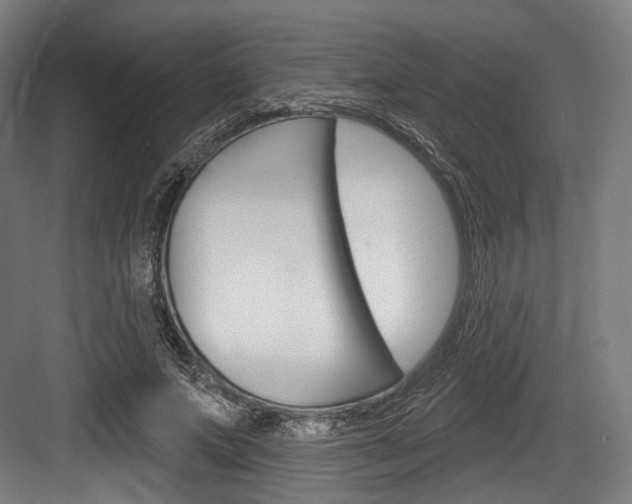 X0000084020687200702160827