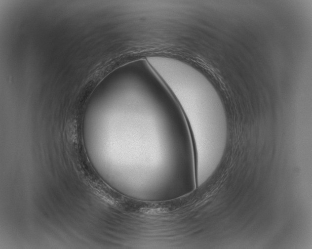 X0000084020689200702160827