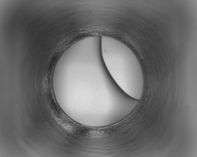X0000084020690200702160827
