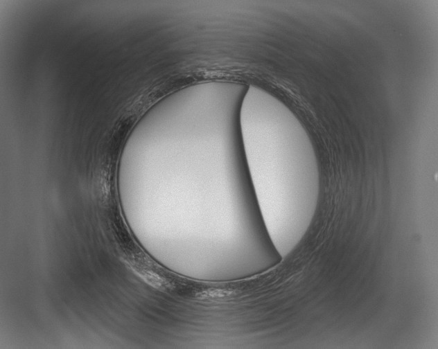 X0000084020691200702160827