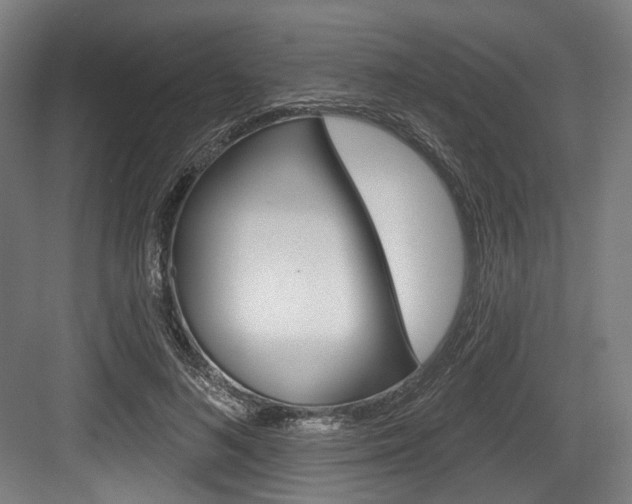 X0000084020692200702160827