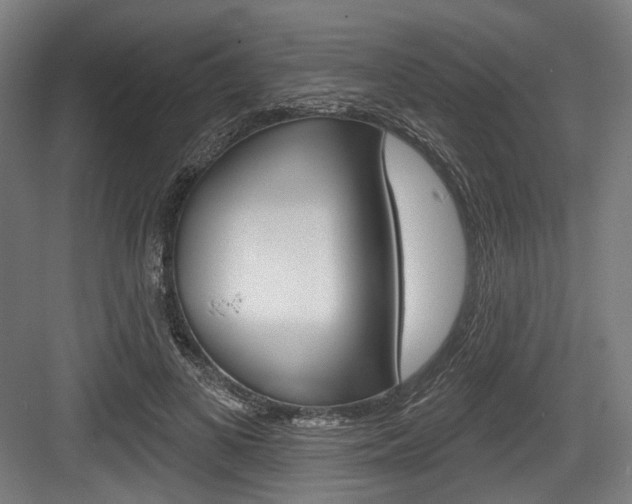 X0000084020693200702160827