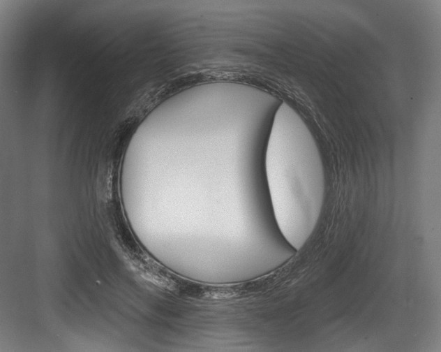 X0000084020694200702160827