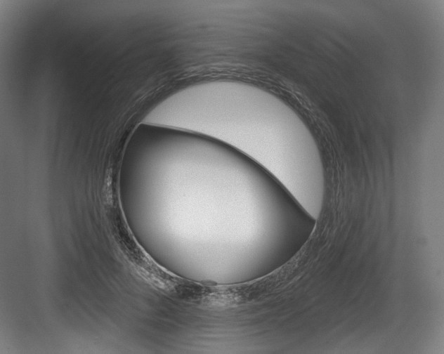 X0000084020696200702160826