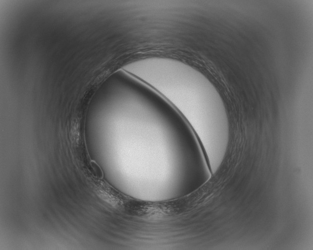 X0000084020697200702160826