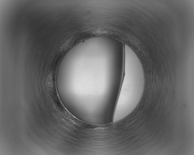 X0000084020700200702160826