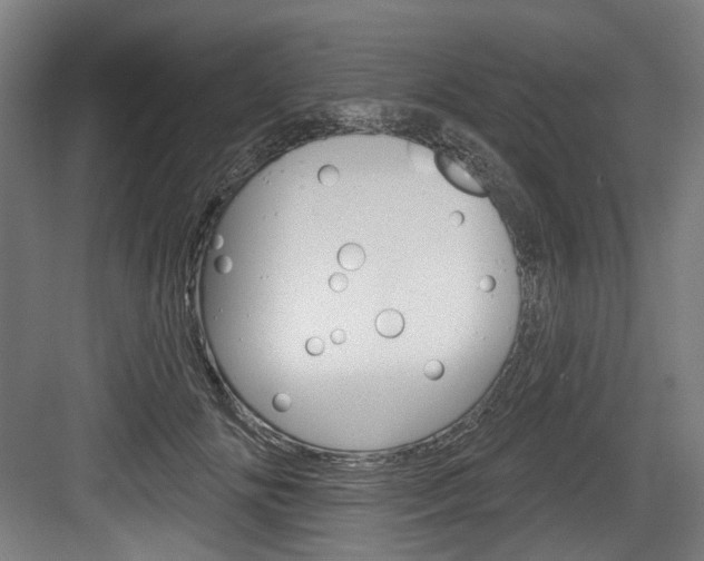 X0000084020702200702160826
