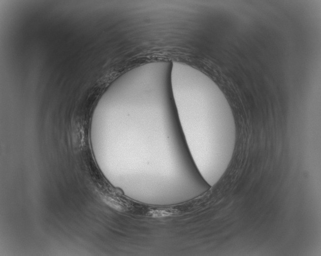 X0000084020703200702160826