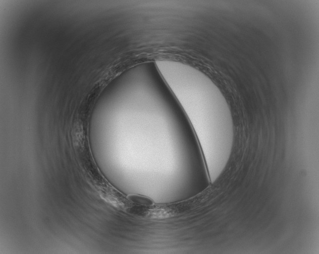 X0000084020704200702160826