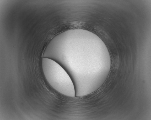 X0000084020706200702160826