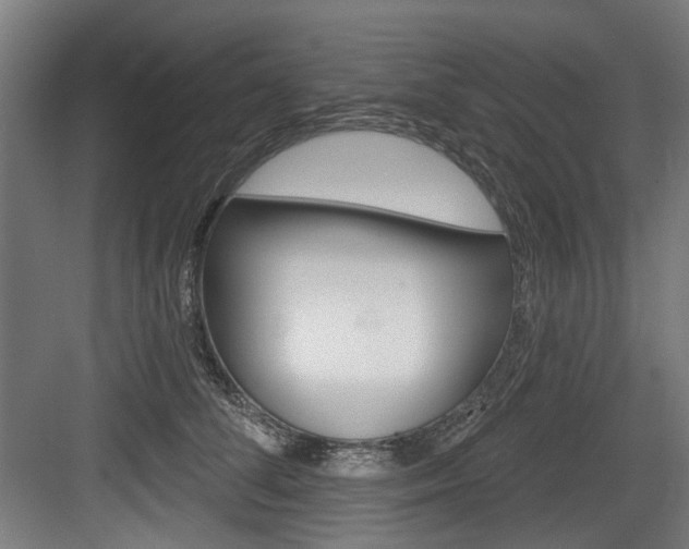 X0000084020708200702160826