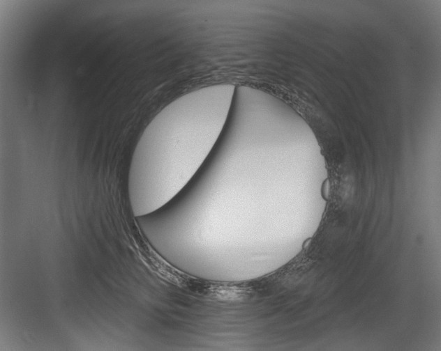 X0000084020710200702160826