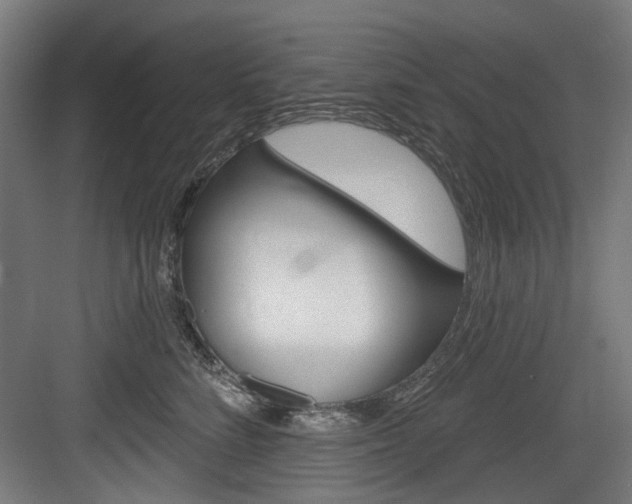 X0000084020712200702160826