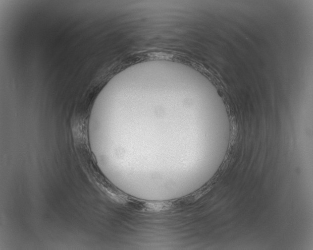 X0000084020713200702160826