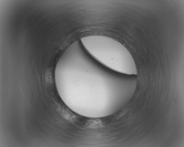 X0000084020715200702160826