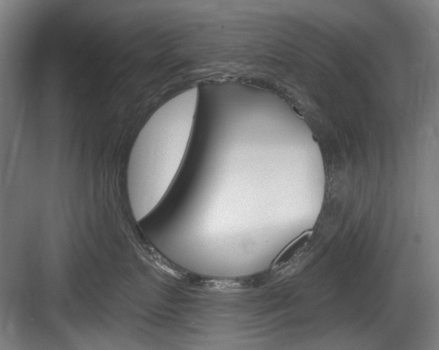 X0000084020719200702160826