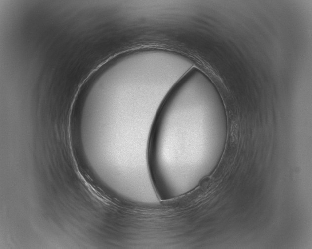 X0000084020722200702160825