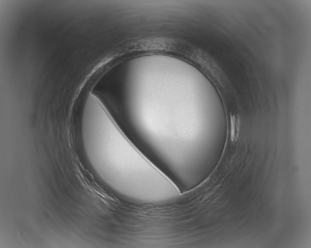 X0000084020723200702160825