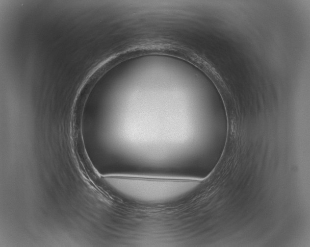 X0000084020724200702160825