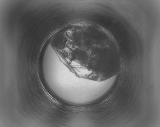 X0000084020725200702160825