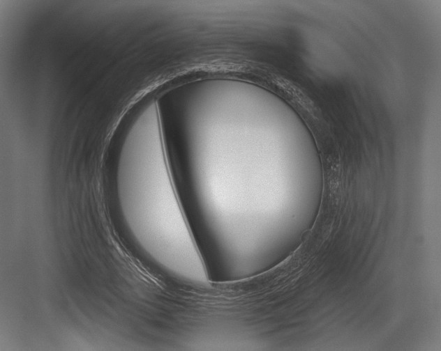 X0000084020727200702160825