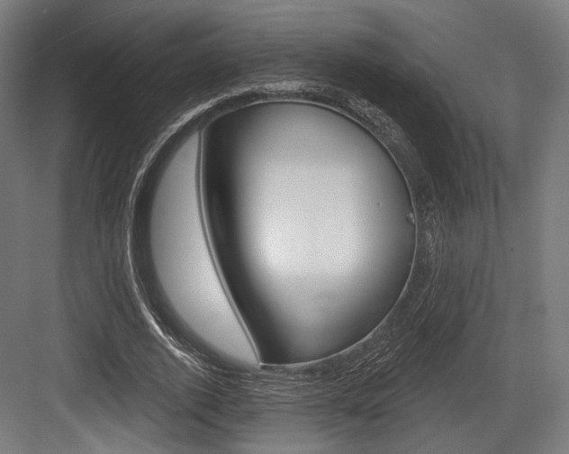 X0000084020728200702160825