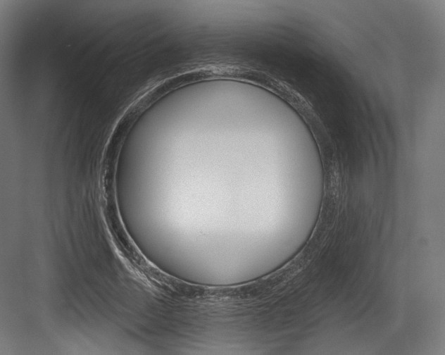 X0000084020730200702160825