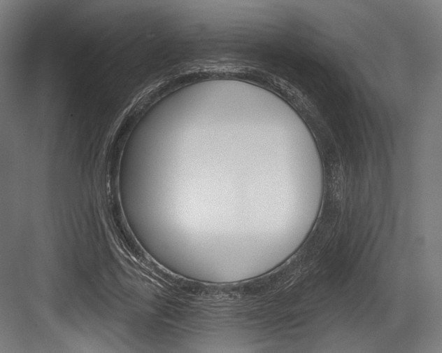X0000084020731200702160825