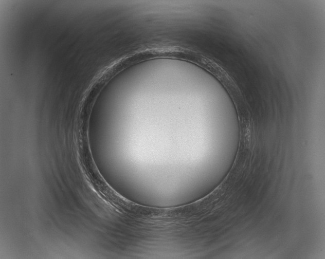 X0000084020732200702160825
