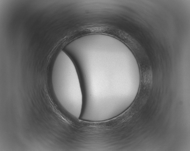X0000084020733200702160825