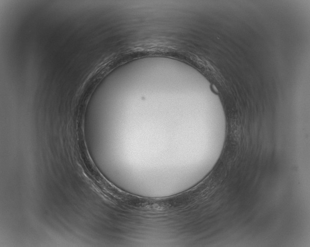 X0000084020735200702160825