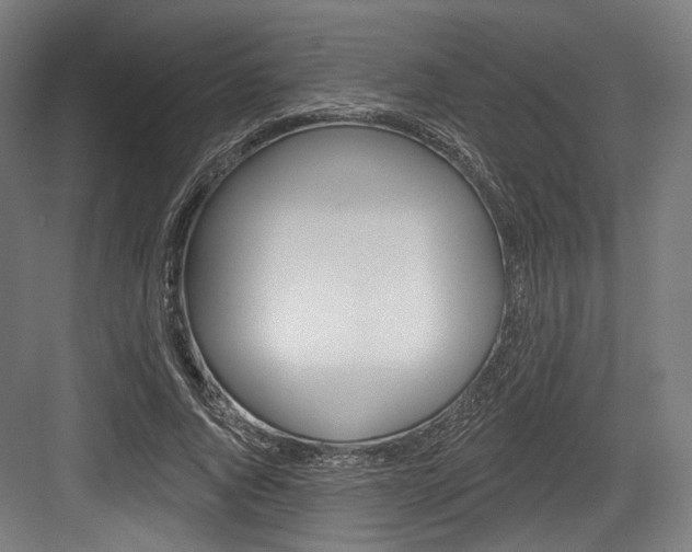 X0000084020736200702160826