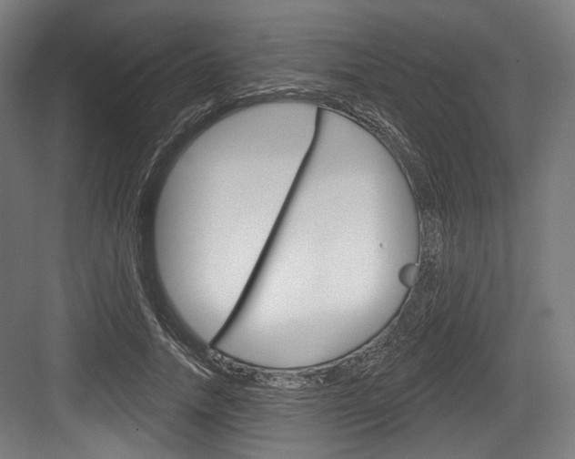 X0000084020738200702160826