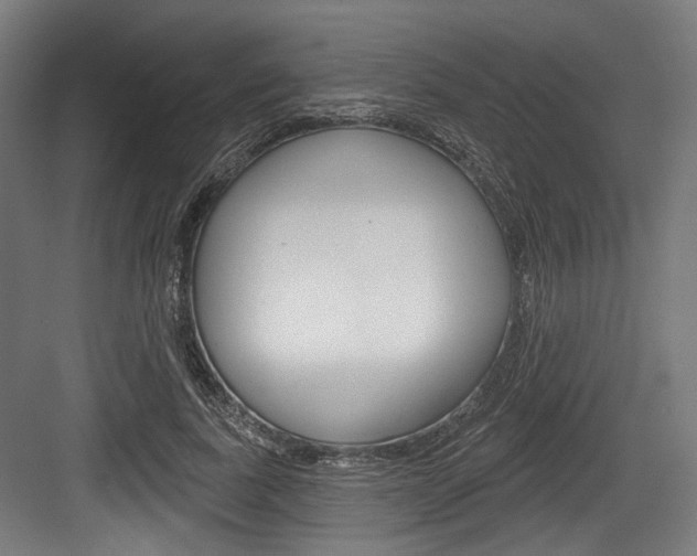 X0000084020739200702160826