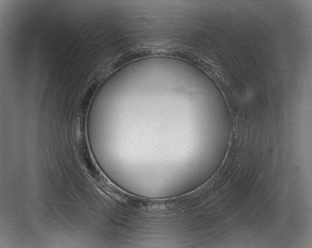 X0000084020740200702160826