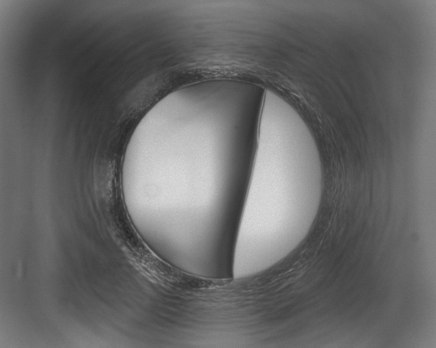 X0000084020742200702160826