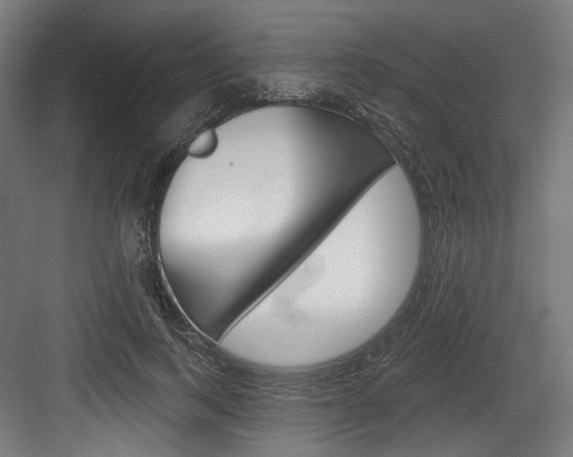X0000084020743200702160826