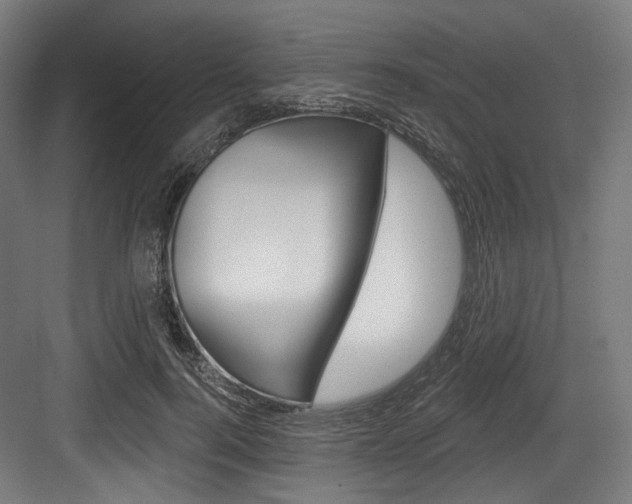 X0000084020744200702160826