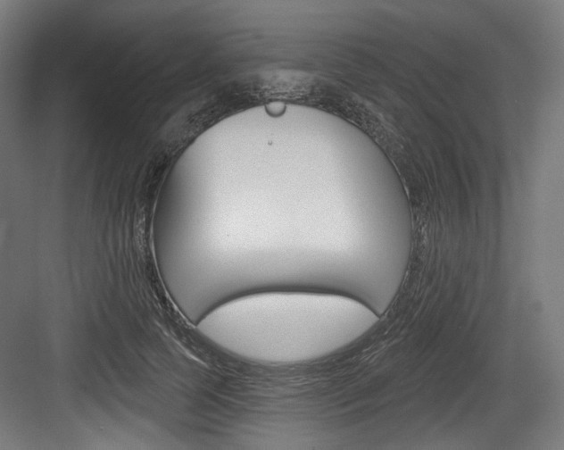 X0000084020745200702160826