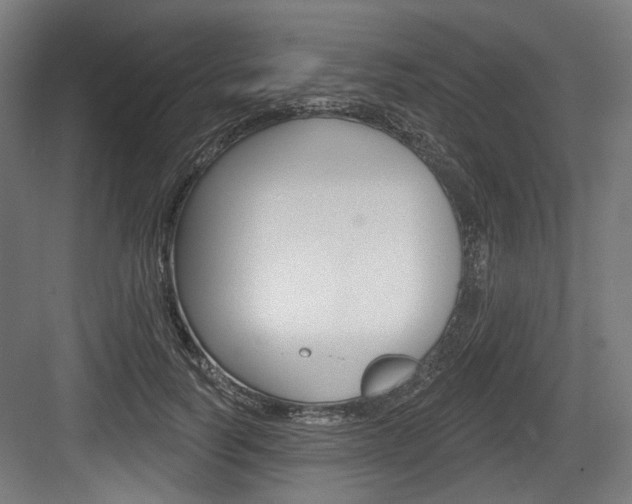 X0000084020746200702160826