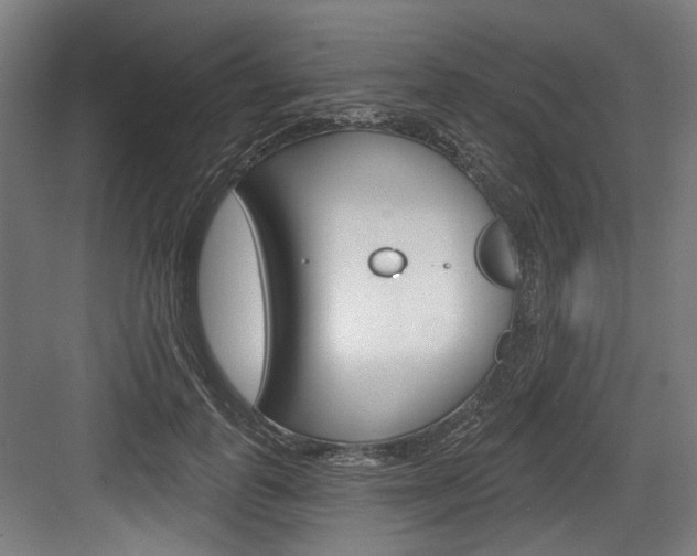 X0000084020747200702160826