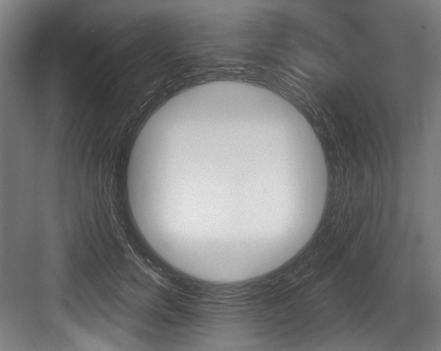 X0000084020750200702160826