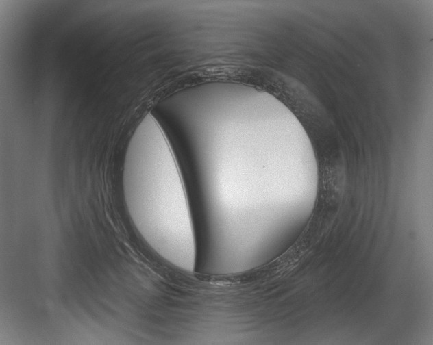 X0000084020751200702160826